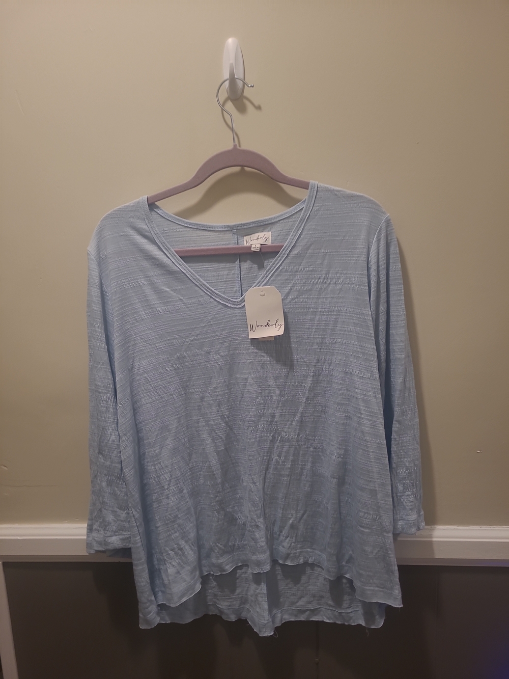 Wonderly Light Blue Long Sleeve V-Neck Layered-Hem Top Large NWT